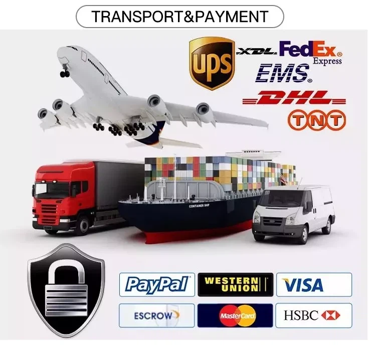 freight and payment