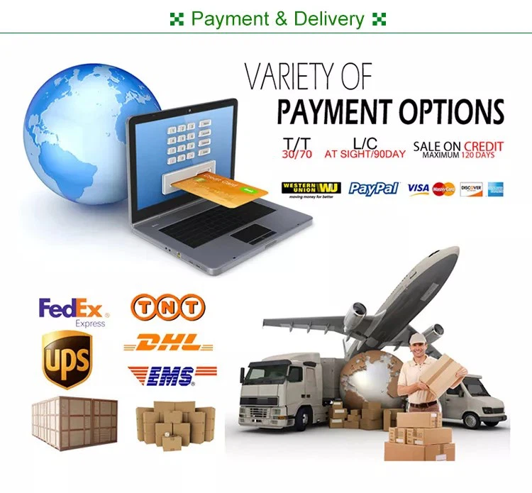 1663140652133 1663140652133