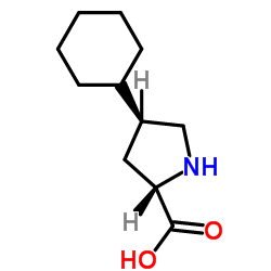 CAS:103201-78-1 | Trans-4-Cyclohexyl-L-proline