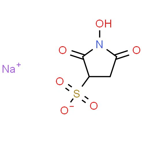 CAS:106627-54-7 | N-Hydroxysulfosuccinimide Sodium Salt