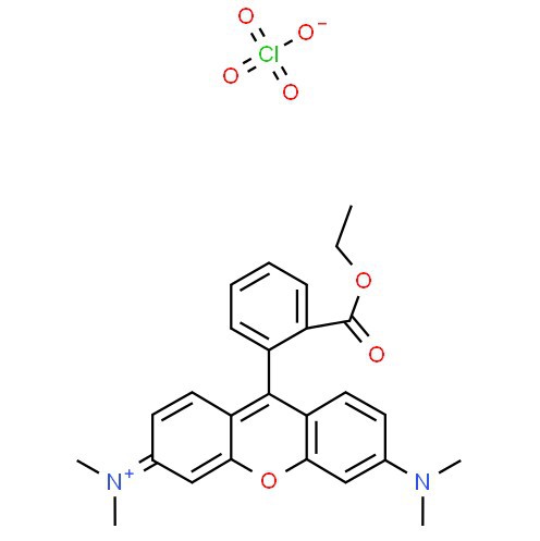 CAS:115532-52-0 | Tetramethylrhodamine Ethyl Ester Perchlorate
