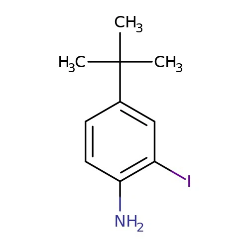 CAS:128318-63-8 | 4-tert-Butyl-2-iodo-aniline