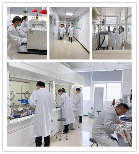 CAS:1670-82-2 | 6-Carboxyindole