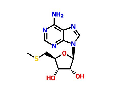 CAS:2457-80-9 5'-S-methyl-5'-thioadenosine