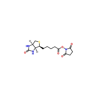 CAS 35013-72-0 | BIOTIN-NHS