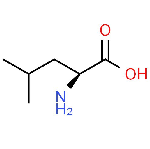 CAS:61-90-5 | L-Leucine