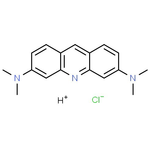 CAS:65-61-2 | Acridine Orange Solution