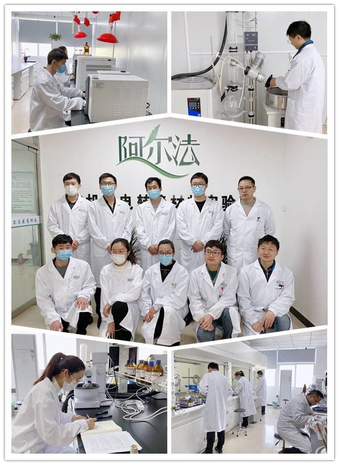 CAS 69045-83-6 2,3-Dichloro-5-(trichloromethyl)pyridine