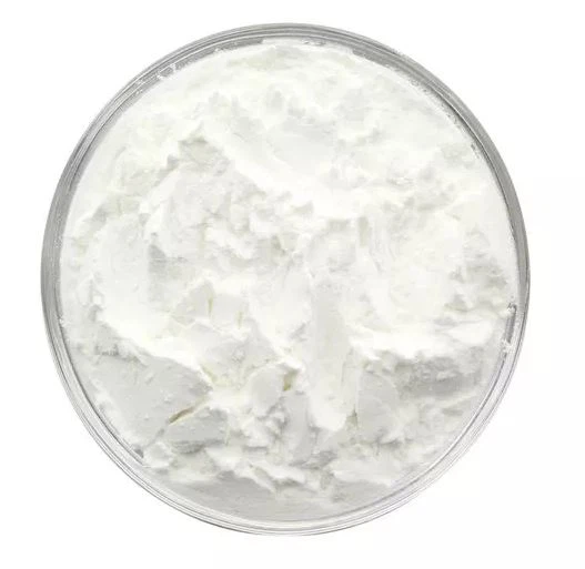 CAS: 9005-84-9 Starch Soluble