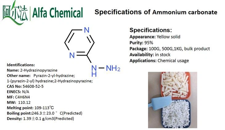 CAS No: 54608-52-5 2-Hydrazinopyrazine