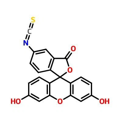 CAS:3326-32-7 | Fluorescein 5-Isothiocyanate (isomer I)