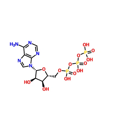 CAS: 56-65-5 Adenosine Triphosphate