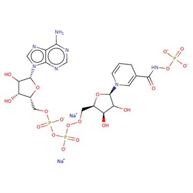 CAS:606-68-8 | Beta-Nicotinamide Adenine Dinucleotide, Disodium Salt