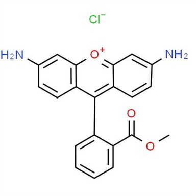 CAS:62669-70-9 | Rhodamine 123