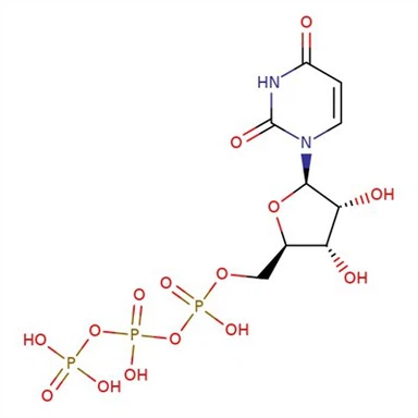 CAS:63-39-8 | Uridine Triphosphate