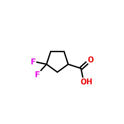 CAS 1260897-05-9 | 3,3-Difluorocyclopentaecarboxylic Acid