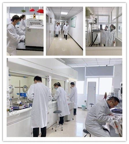 CAS:1402299-58-4丨2-(1-Ethyl-2-methylquinolin-4(1H)-ylidene)malononitrile