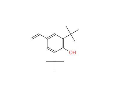 CAS:19263-36-6丨2,6-ditert-butyl-4-vinylphenol
