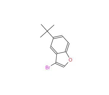 CAS:2648402-53-1丨Benzofuran, 3-bromo-5-(1,1-dimethylethyl)-