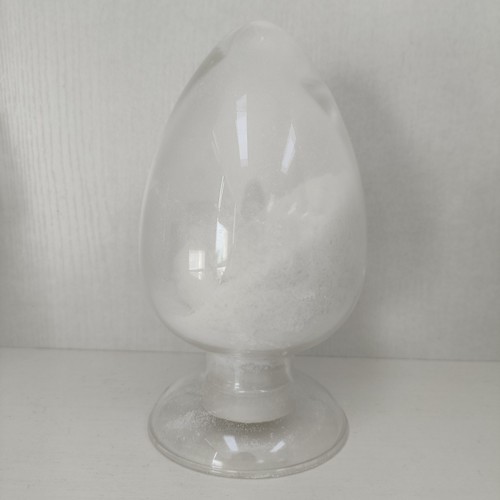 CAS:583-39-1 | 2-Mercaptobenzimidazole