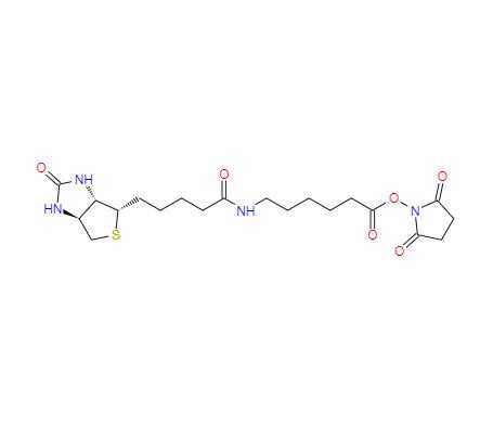CAS:72040-63-2丨Succinimidyl 6-(biotinamido)hexanoate