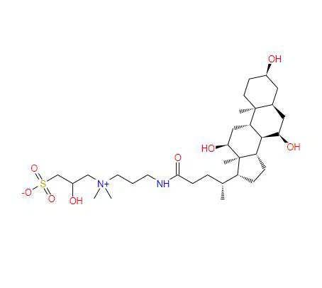 CAS:82473-24-3丨3-[(3-Cholamidopropyl)dimethylammonio]-2-hydroxy-1-propanesulfonate