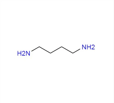 CAS:110-60-1丨1,4-DIAMINOBUTANE