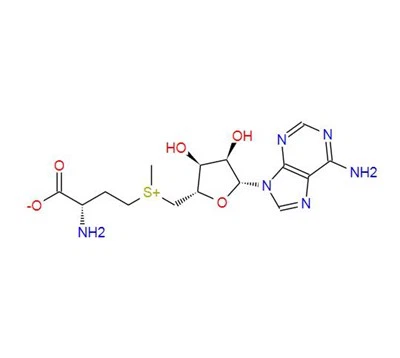 CAS:29908-03-0丨S-Adenosyl-L-methionine